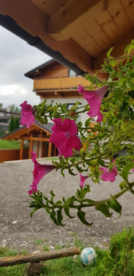 Villa Swiss Săcele Екстериор снимка