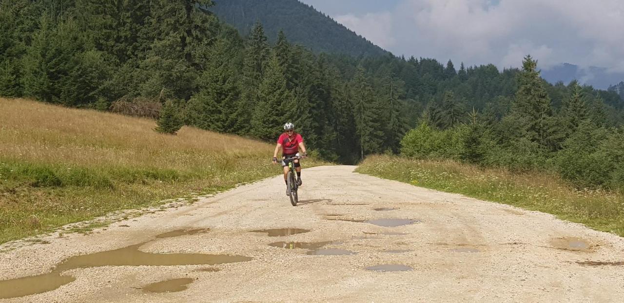 Villa Swiss Săcele Екстериор снимка