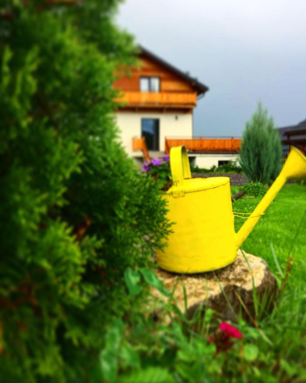 Villa Swiss Săcele Екстериор снимка